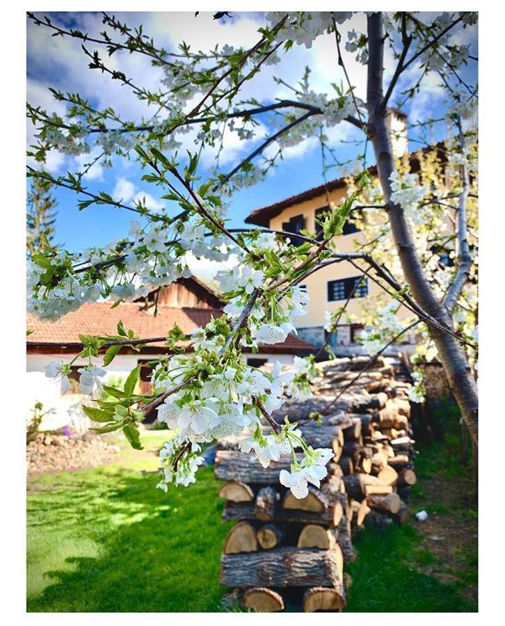 Bobi Guest House Koprivštica Exteriér fotografie